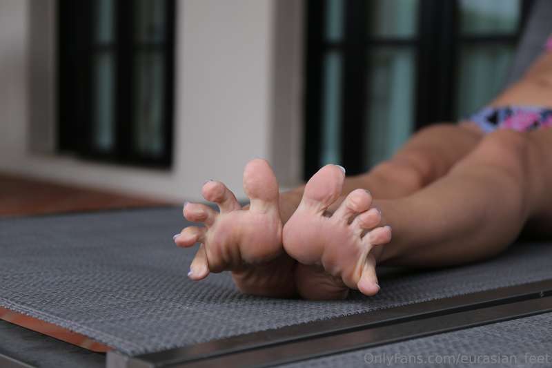 eurasian_feet