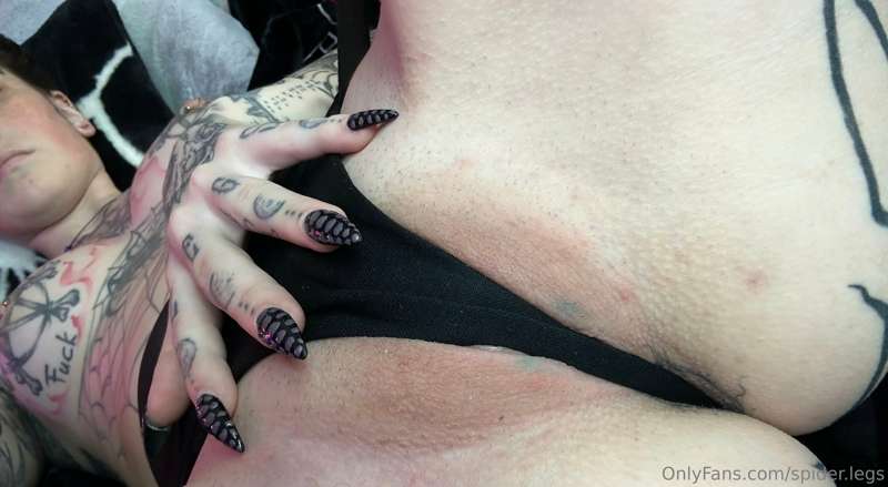 spider.legs
