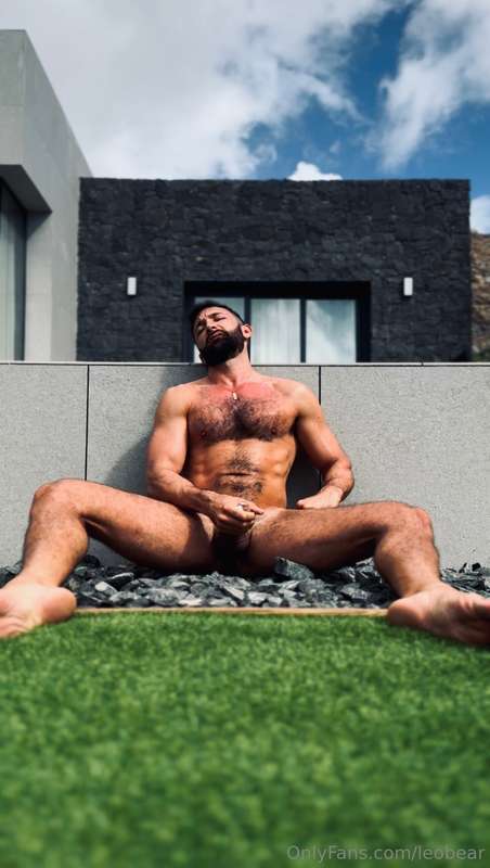 leobear
