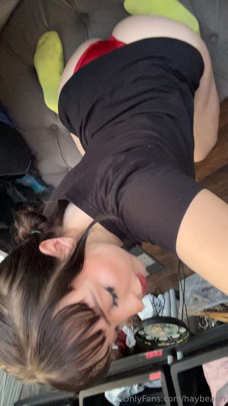 haybeann