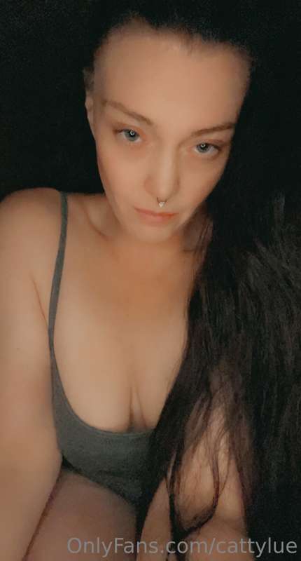 cattylue image #0