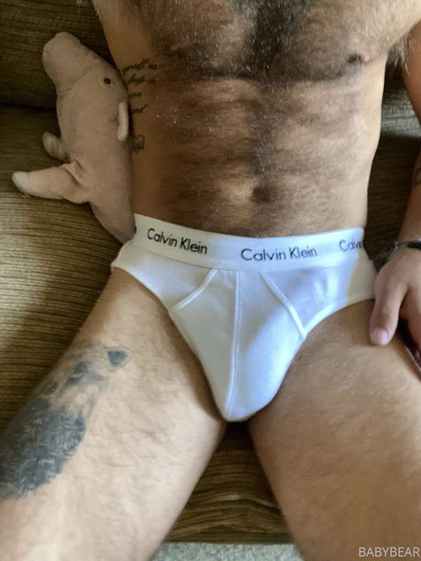 babybear25 image #0