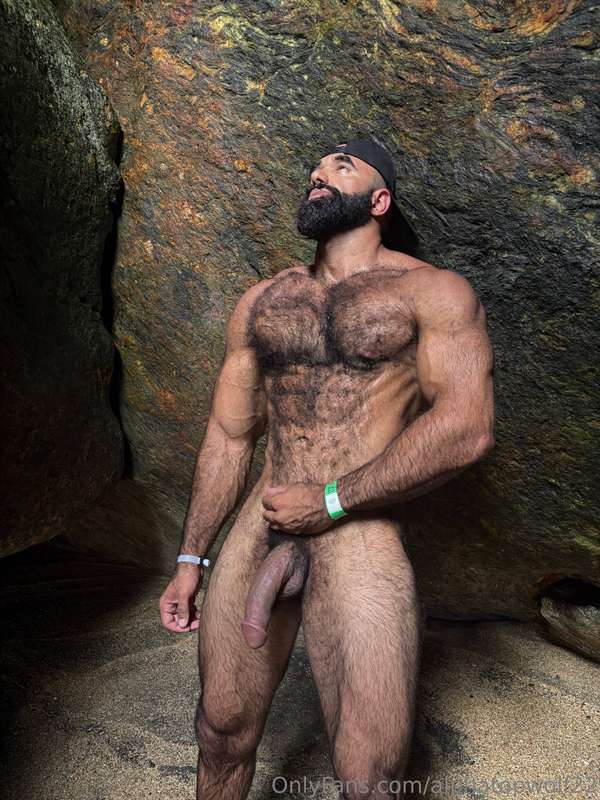 alphatopwolf22 image #2