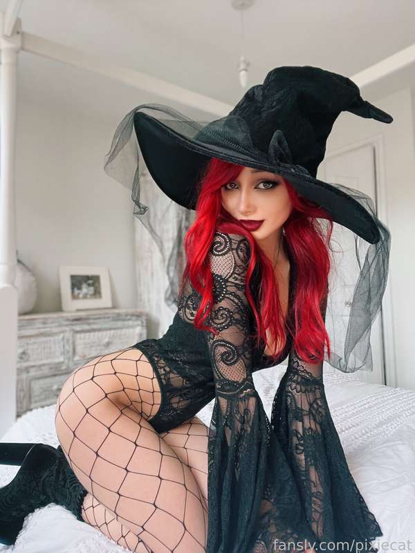 pixiecat image #12