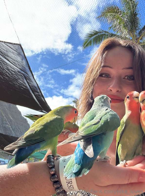 True love is as vibrant and full of life as a parrot’s feath..