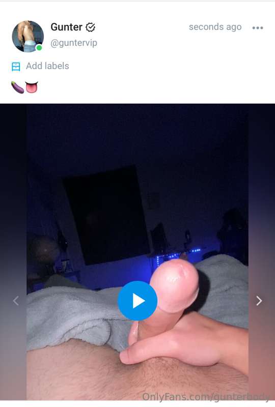 gunterbody