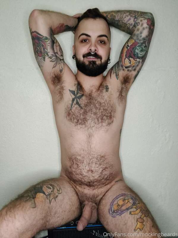 mockingbeards image #0