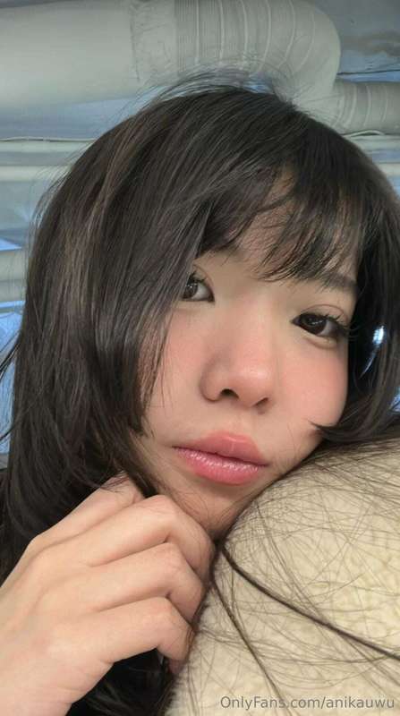 anikauwu
