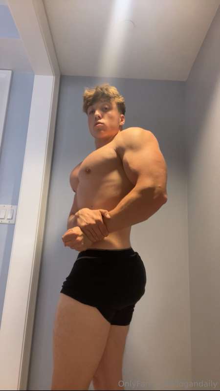 logandaily