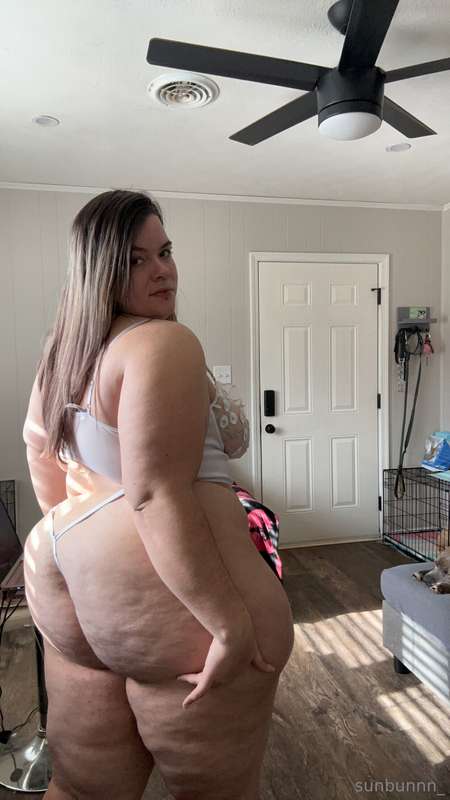 pawgwithablog97