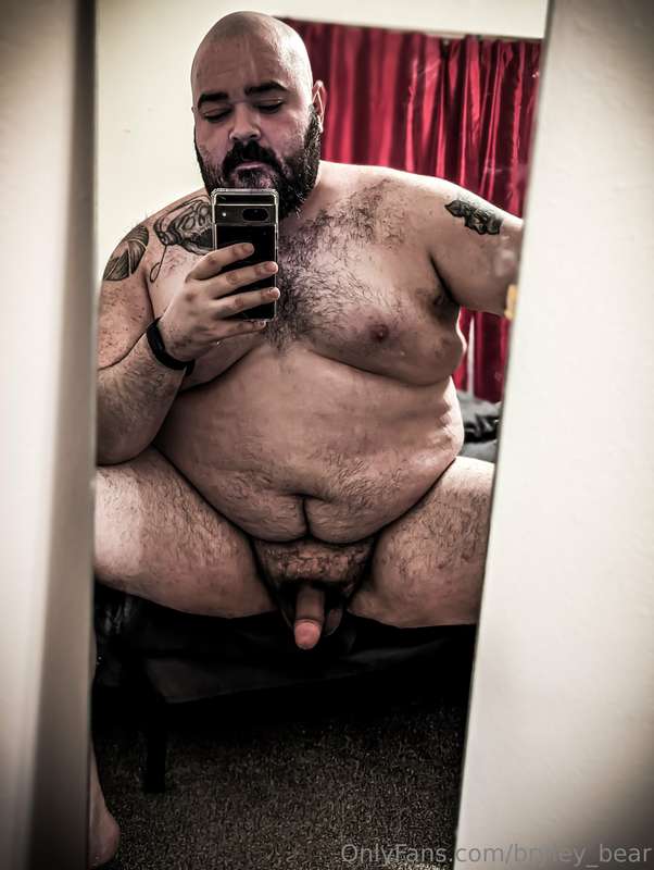 bryley_bear