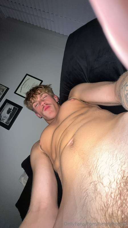 henryhotvip