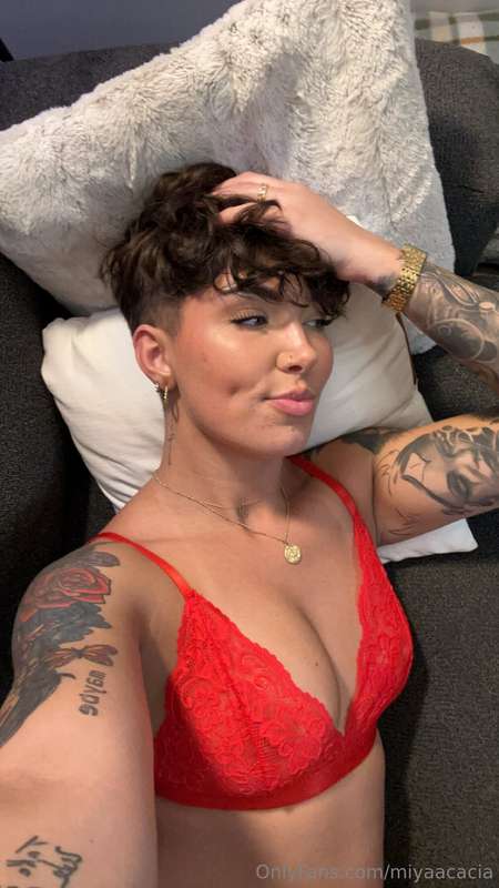 miyaacacia