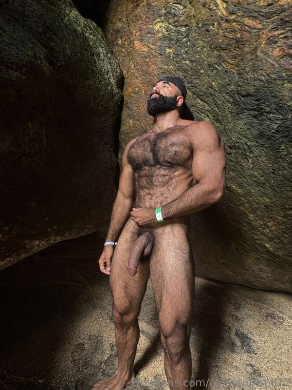 alphatopwolf22 image #1