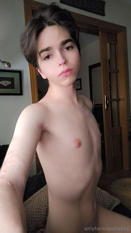 abeliaboy