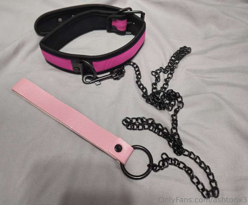 New collar and leash. Can I be your pet 👉🥺👈