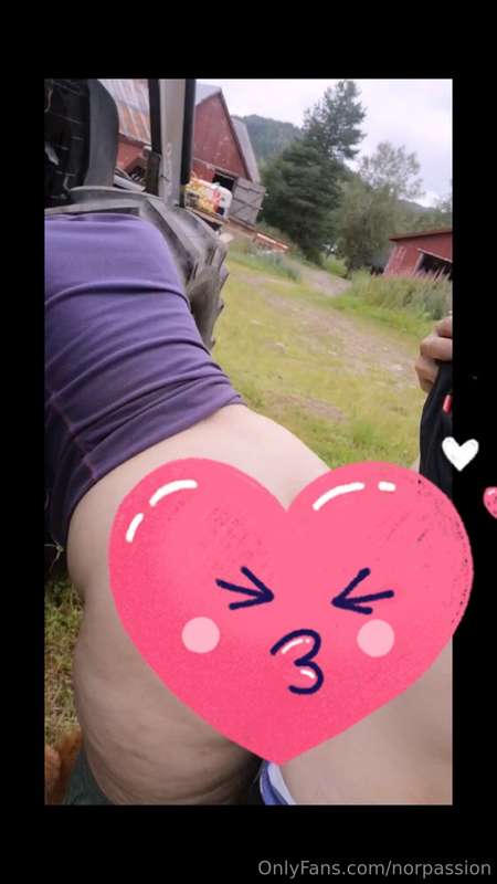 Ville gi mannen en lunsjpause han sent vil glemme 🤭 #farmlif..