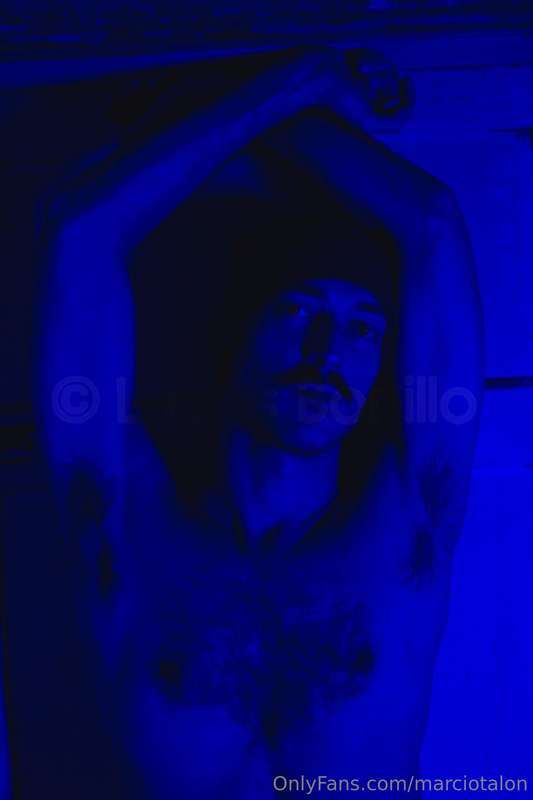 marciotalon