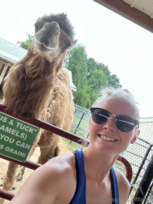 I promised Alpaca pictures. I deliver alpaca pictures. MAKE ..