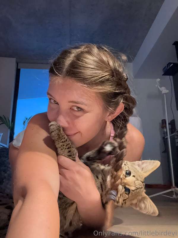 littlebirdevi