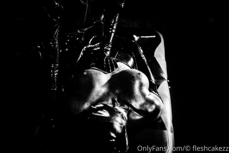 fleshcakezz