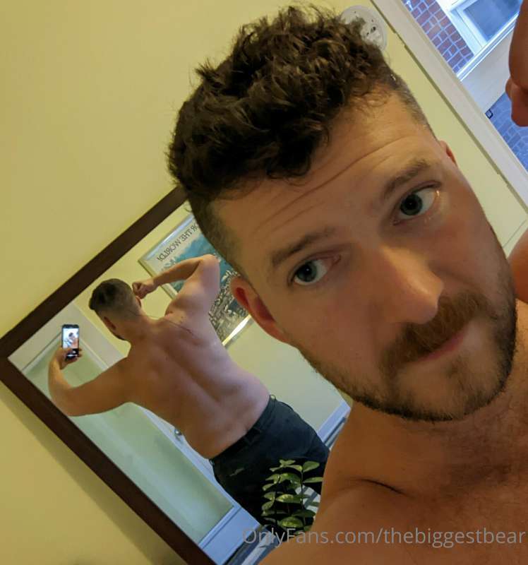 thebiggestbear