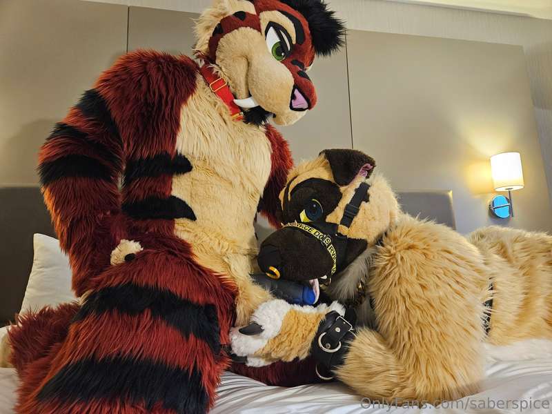 I show this dog how cats are superior! 20 image lewd photo p..