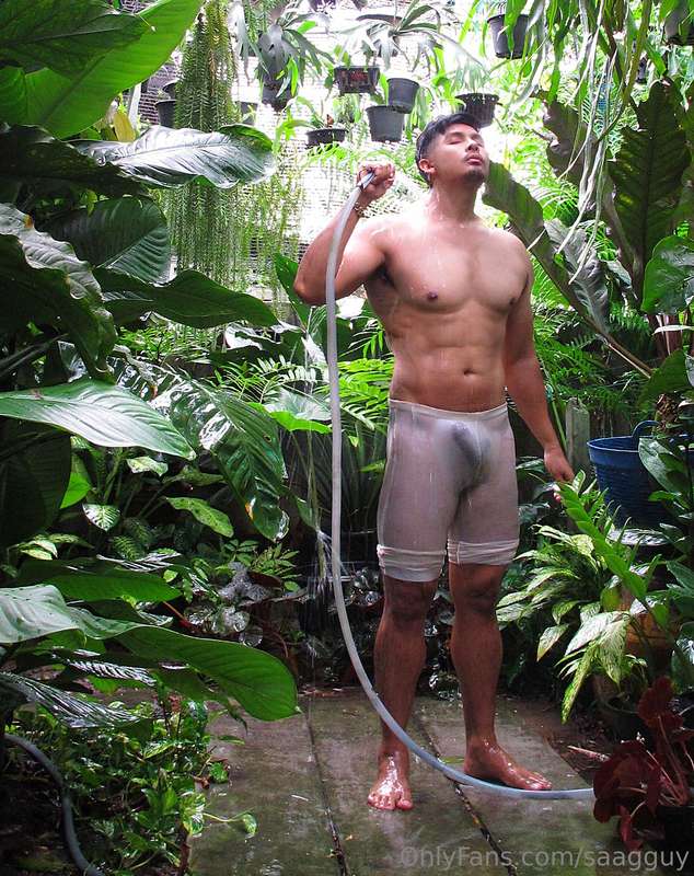 media