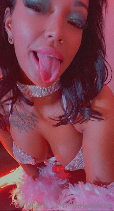 Photo 300 of Harley Dean on Tocromo