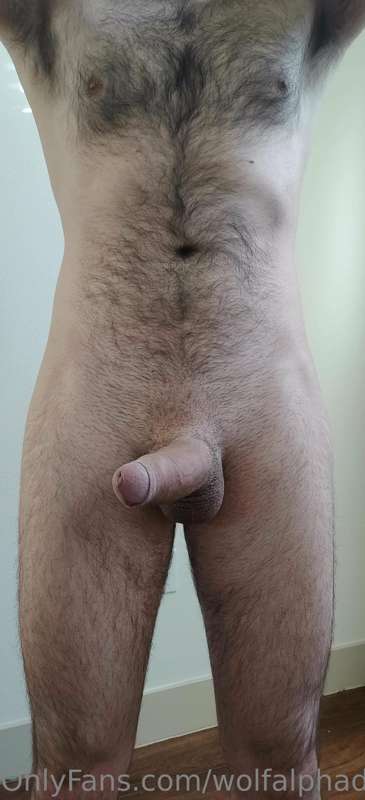 wolfalphaddy image #0