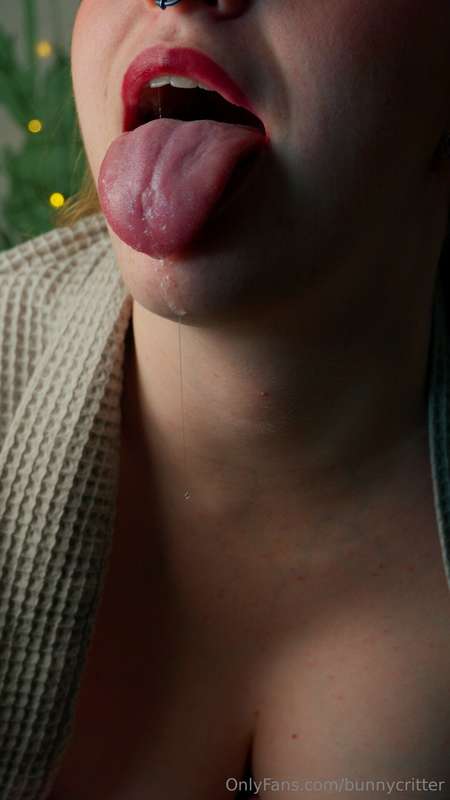 bunnycritter