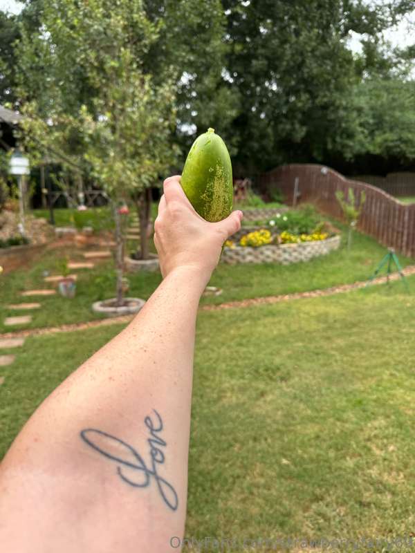 Look at this cucumber I found in my garden