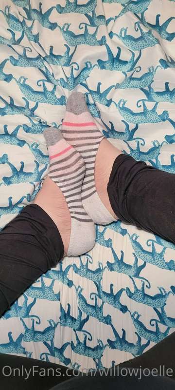 Socks for cocks