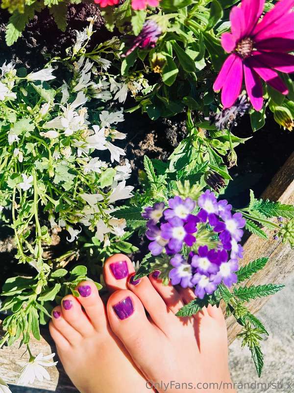 media