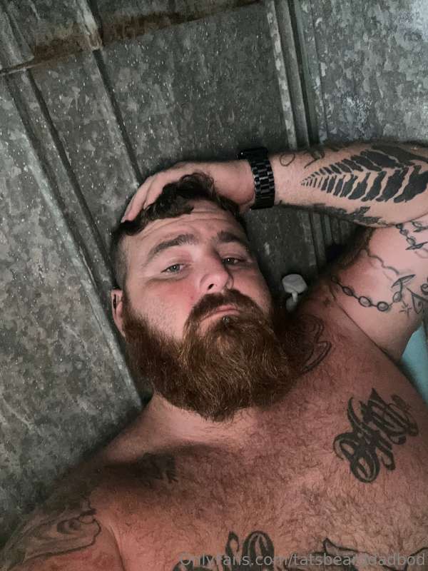 tatsbearddadbod
