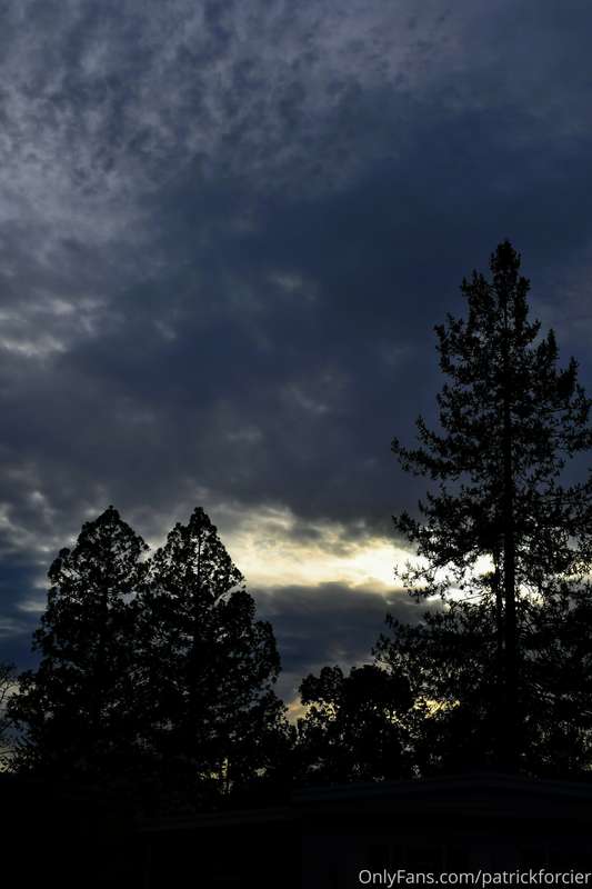 patrickforcier image #31