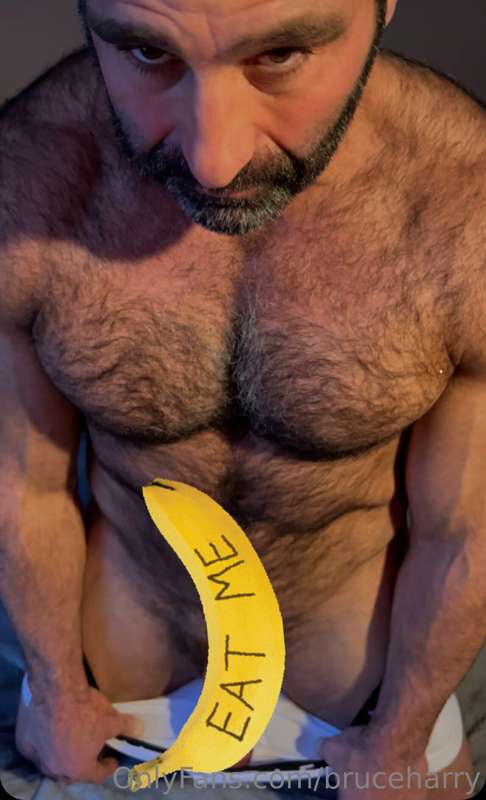 bruceharry