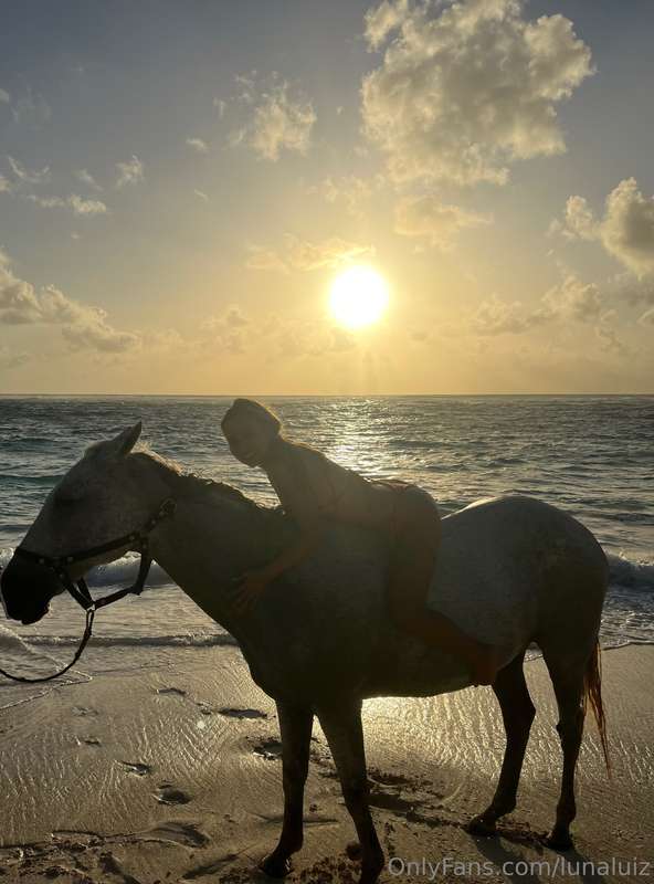 🐎🌅