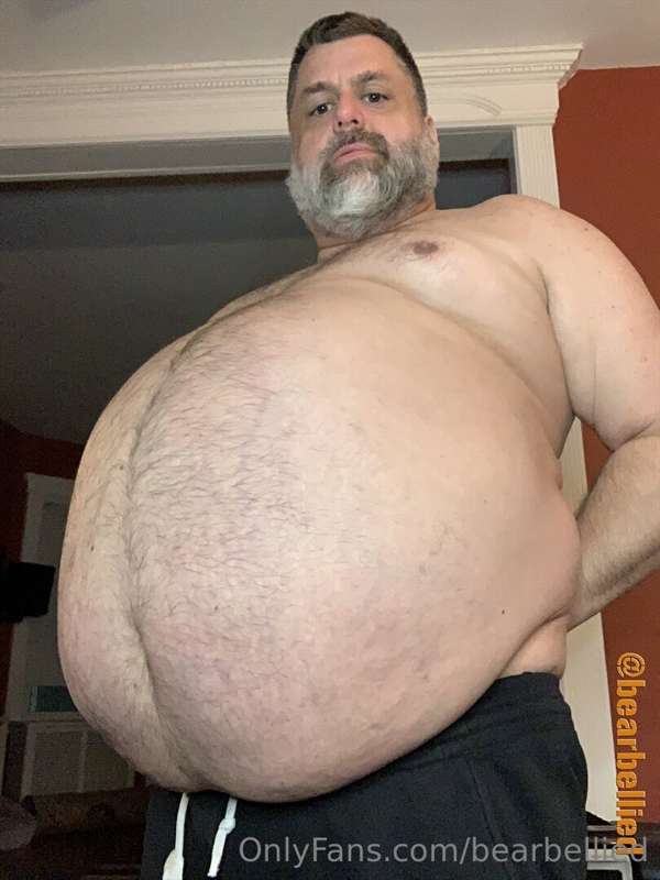 bearbellied