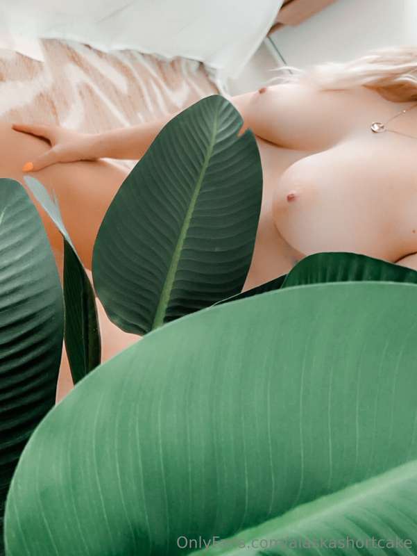 Unlock to see behind the leaf 🍃😏