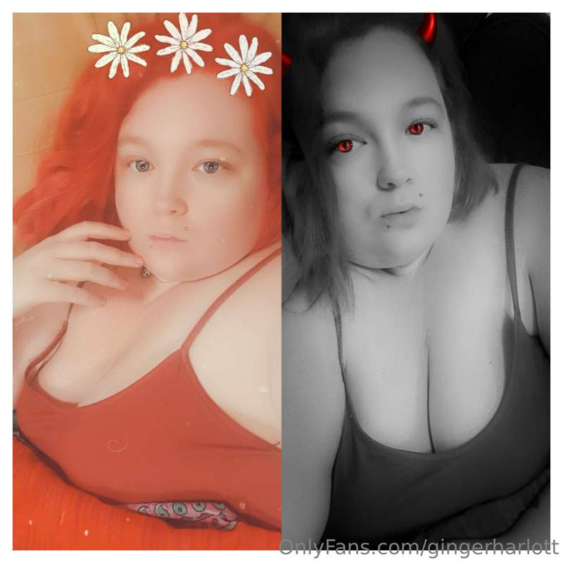 gingerharlott