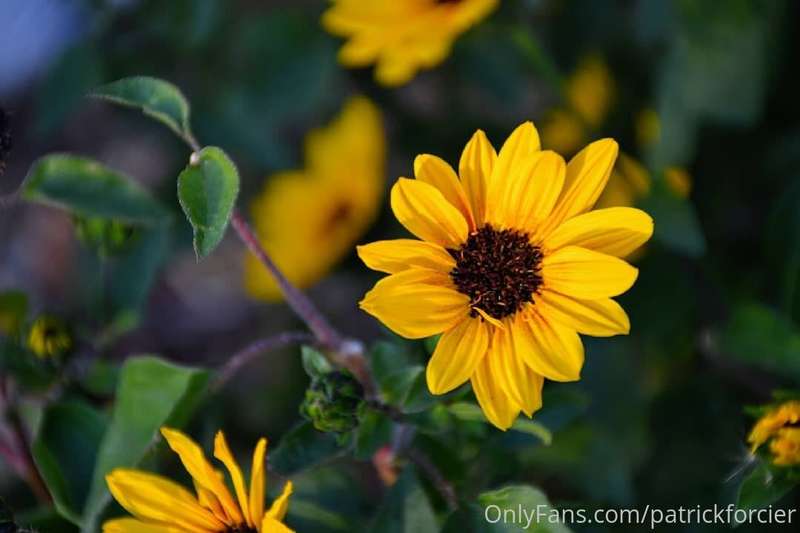 Sunny Day With Some Brown Eyed Girls!!!
One of the best part..