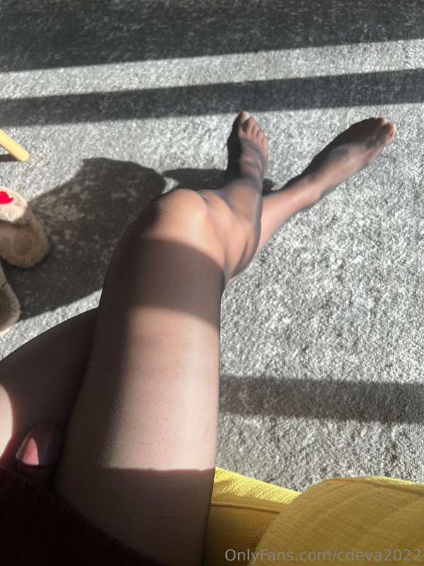 cdeva2022 image #1