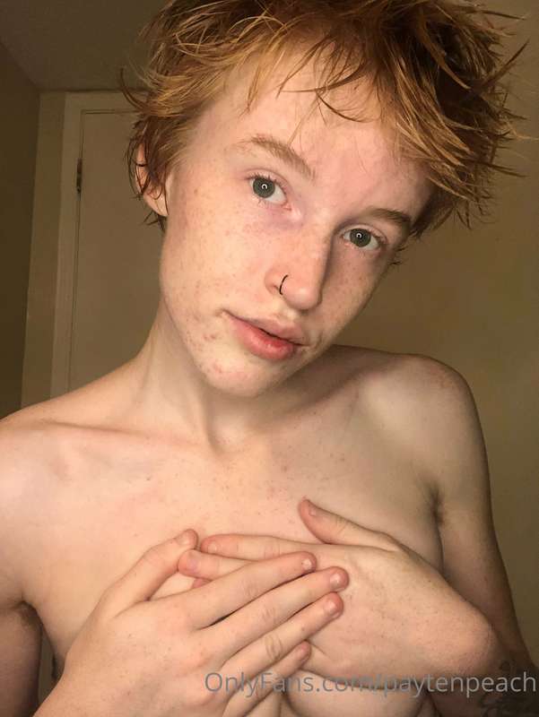 gingerkitty47 image #0
