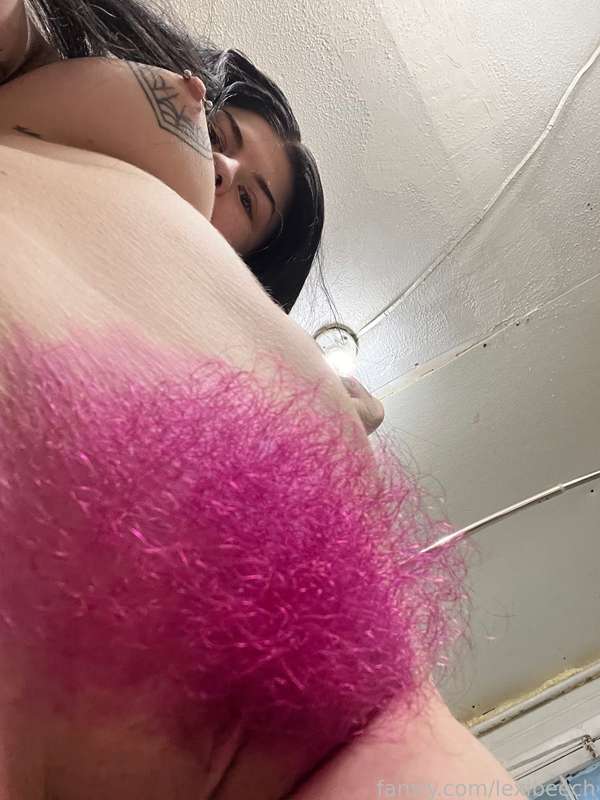 lexibeech image #5