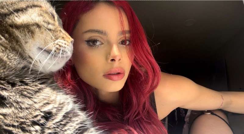 meow 😻