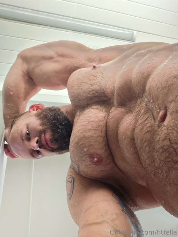 fitfella
