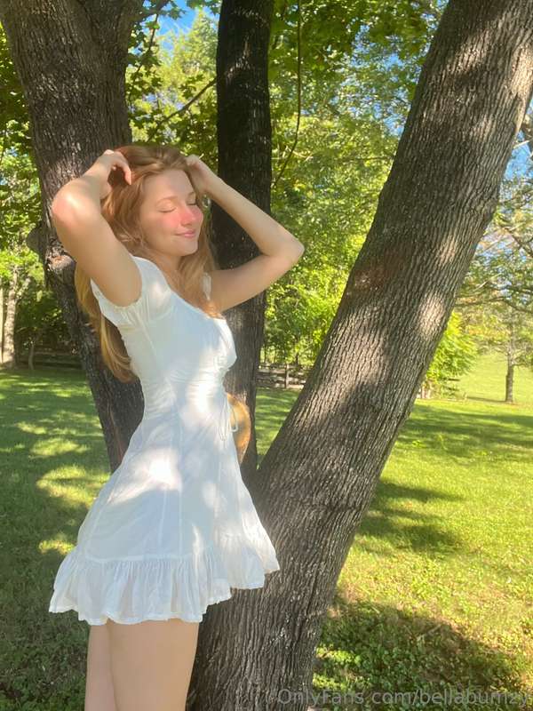 let's have a picnic