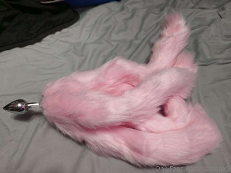 My new tail has arrived 😍 😏. 