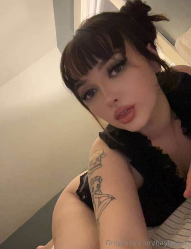 haybeann